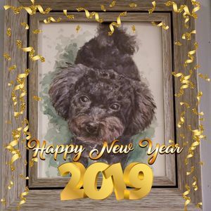 Meet your Posher, Connie